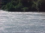 Skeena River at old bridge - July 12, 2002, 8:30 a.m.