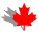 Maple Leaf